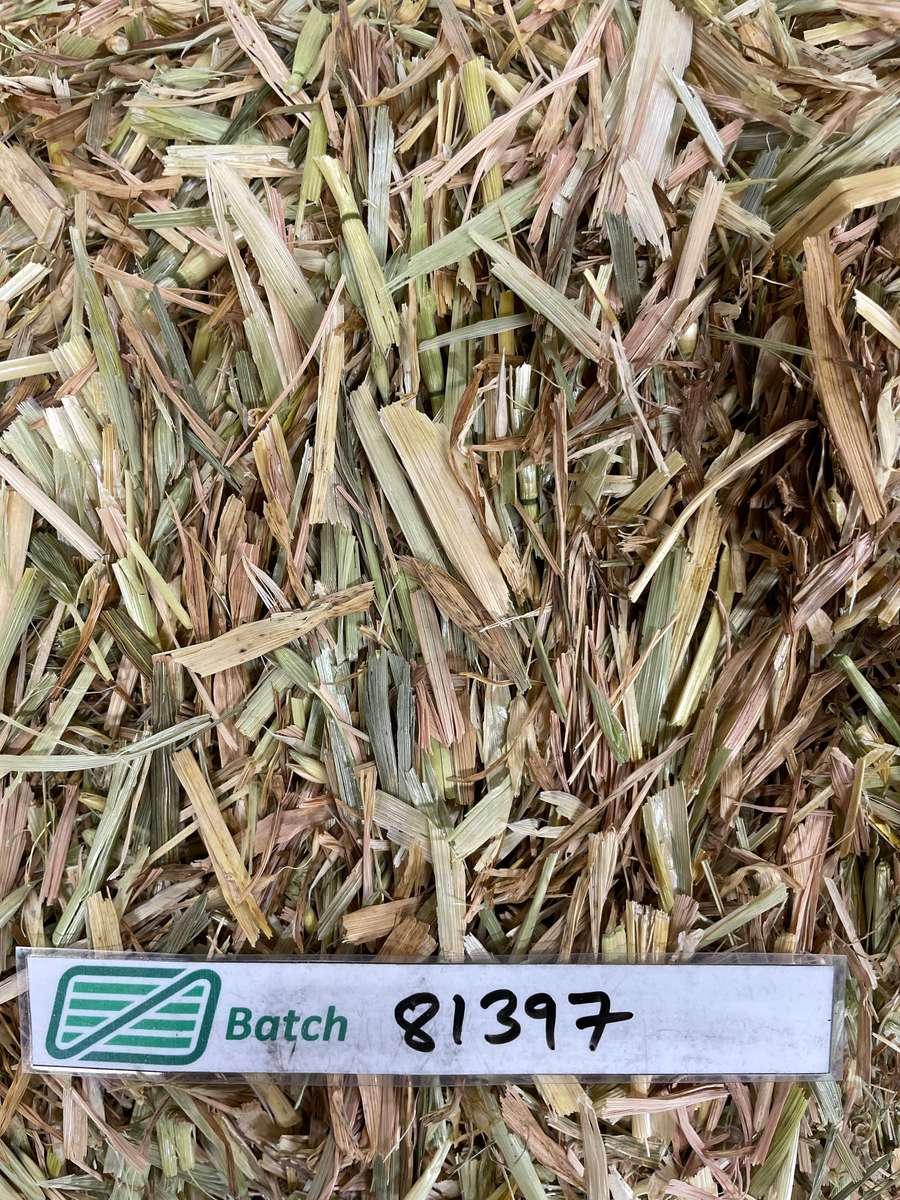 Batch 4990788000211533047 Image