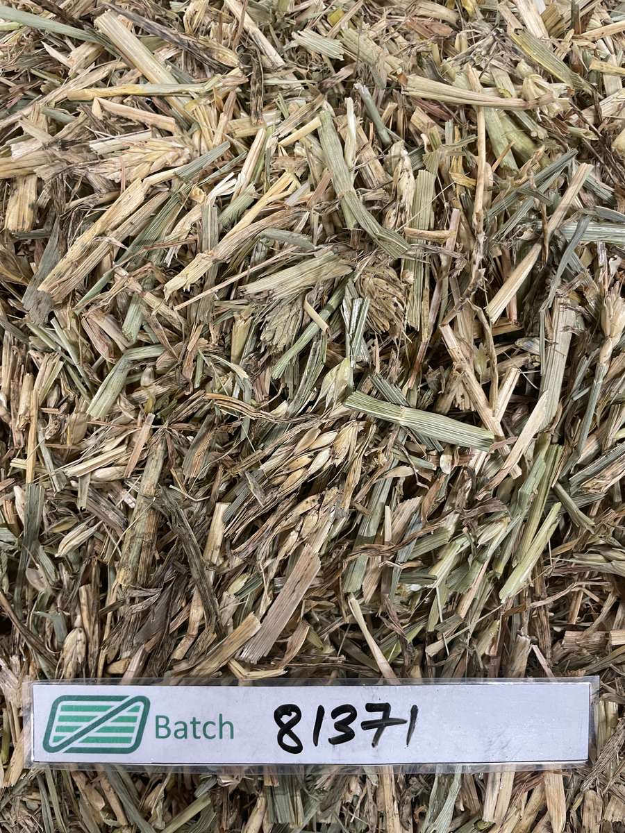 Batch 4990788000210958031 Image