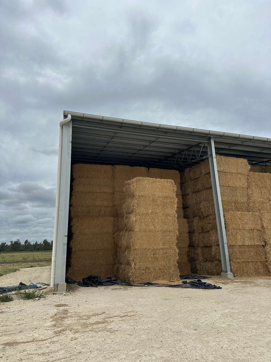 Batch 4990788000211505052 Image