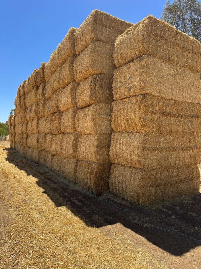 Batch 81440 Cereal Straw – Fodder Link Website