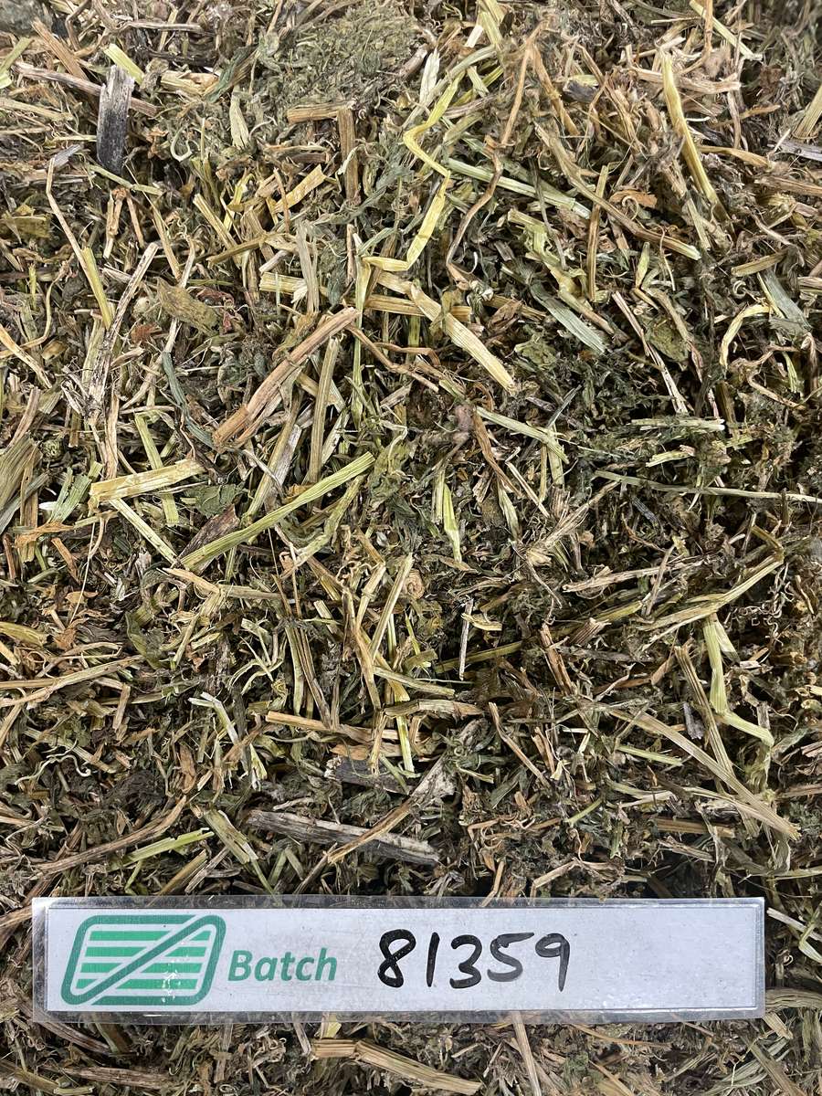 Batch 4990788000211008001 Image