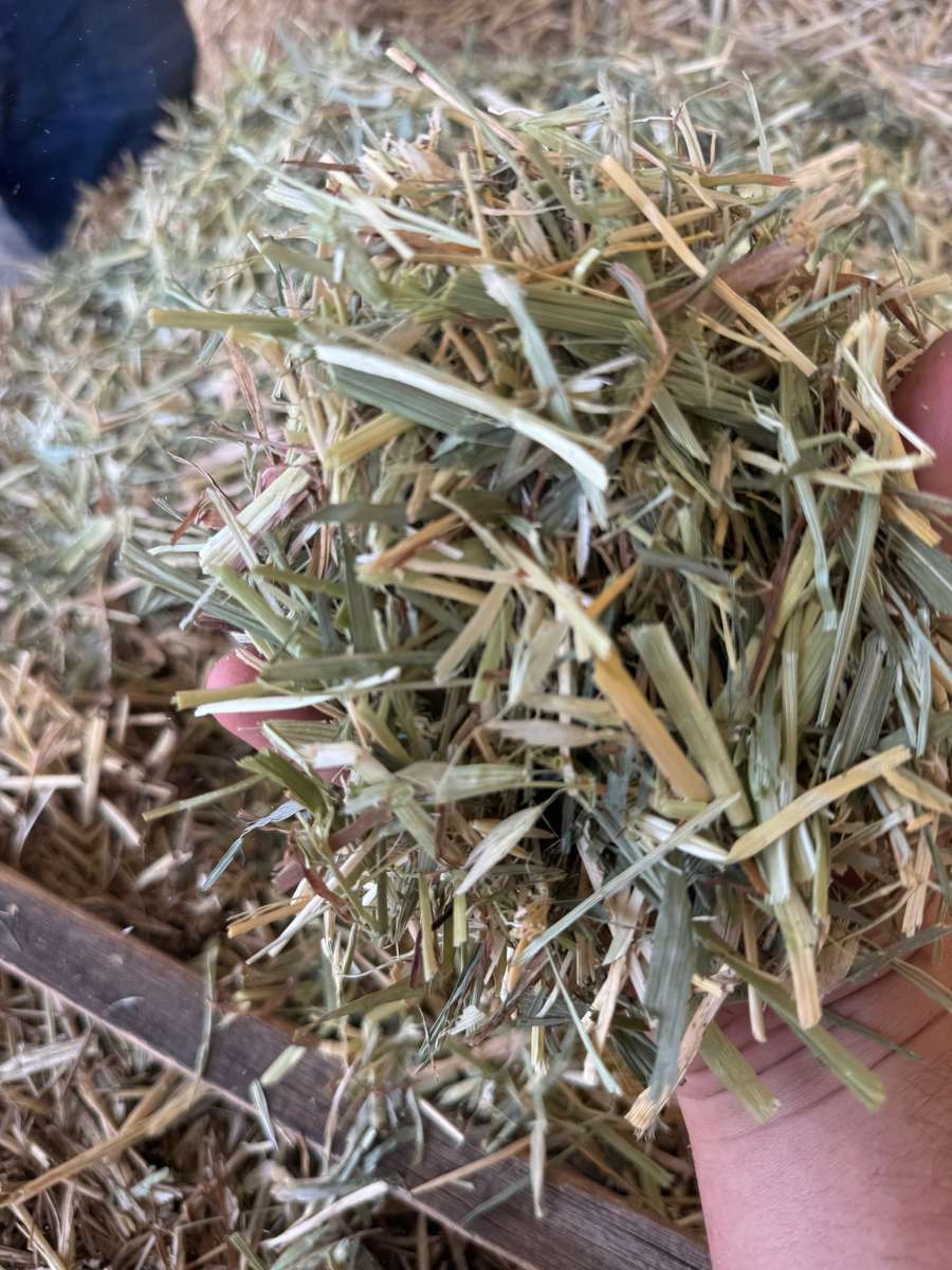 Batch 4990788000210163017 Image