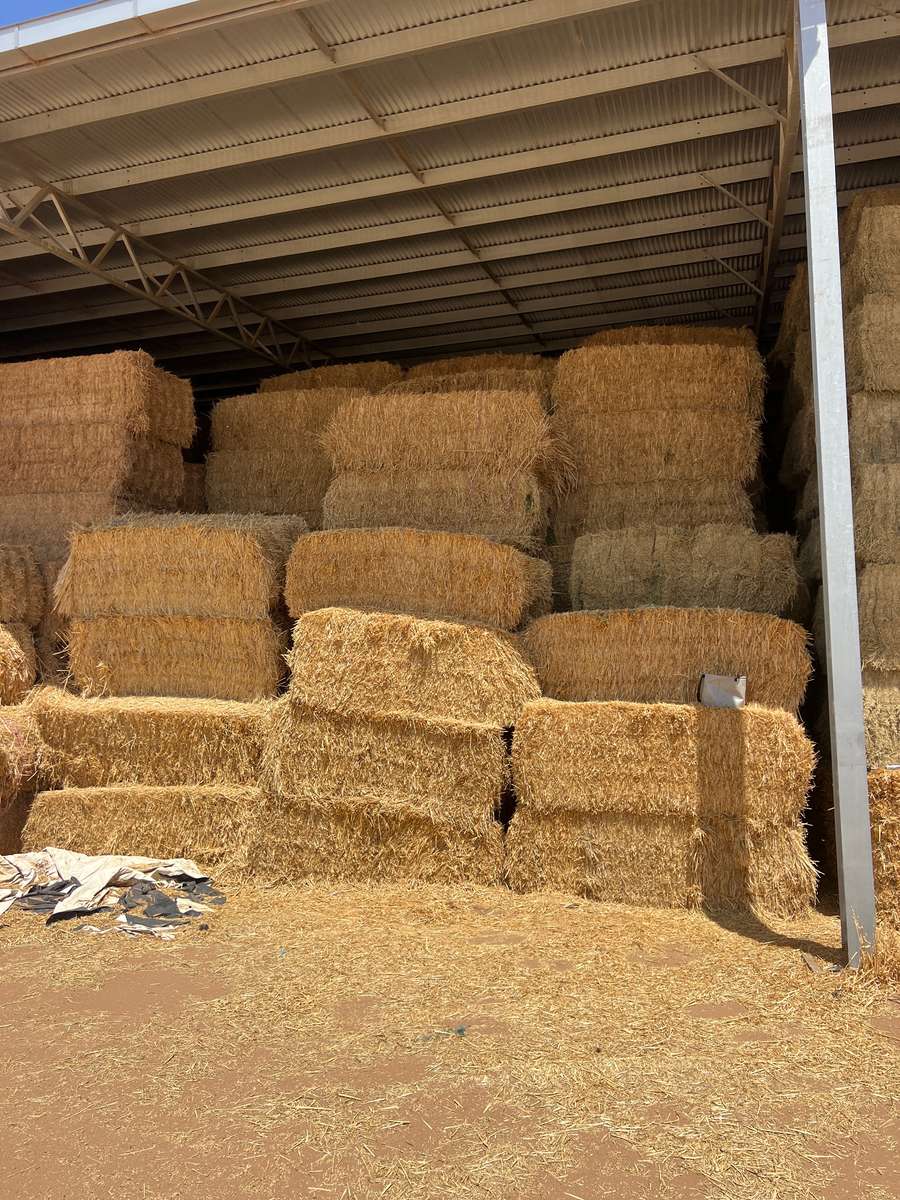 Batch 4990788000211537021 Image