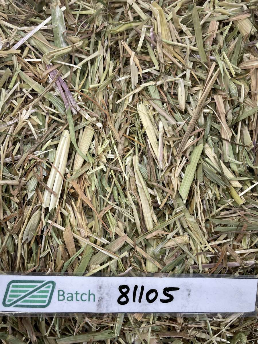 Batch 4990788000201343114 Image