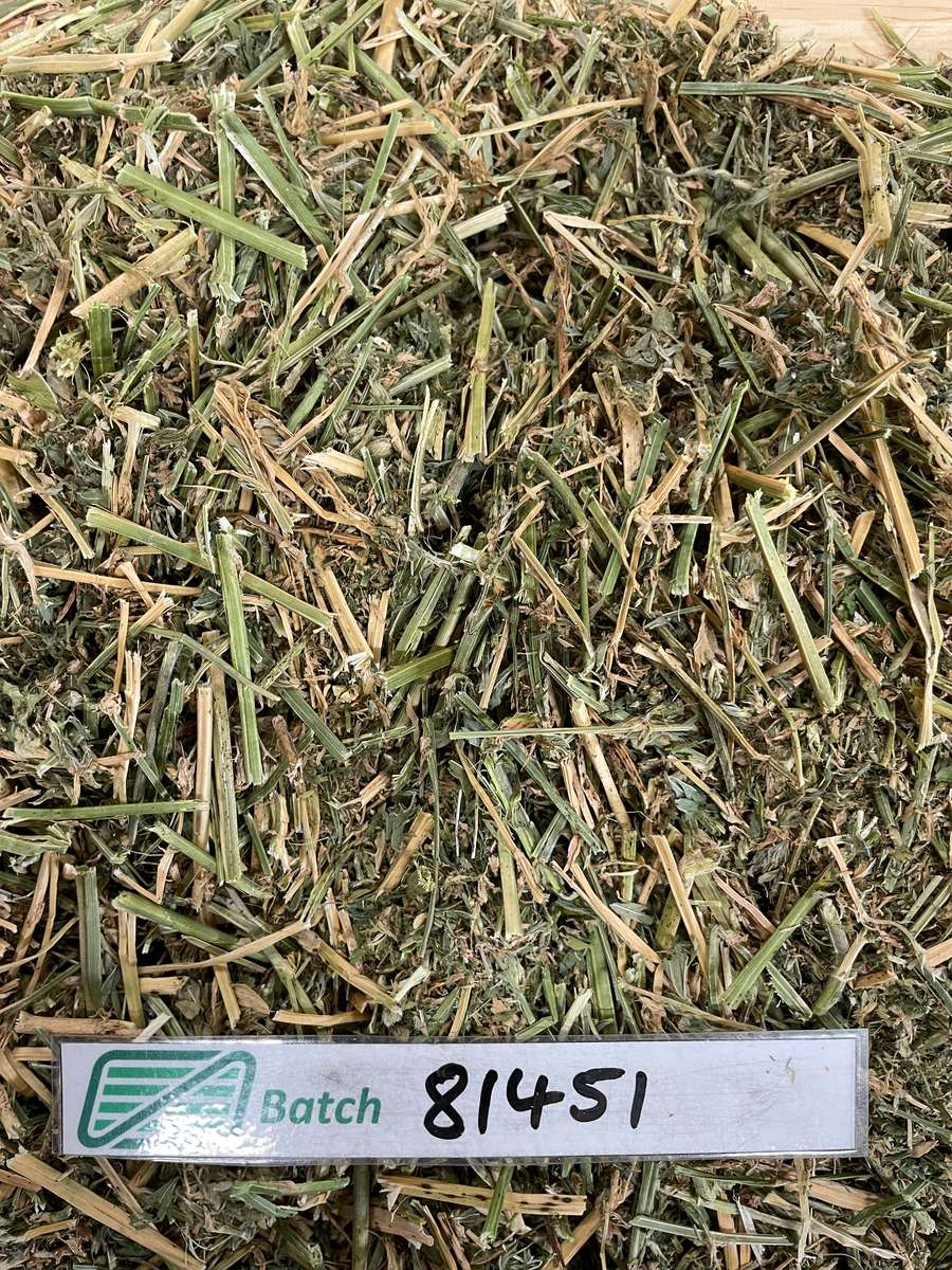 Batch 4990788000213114001 Image