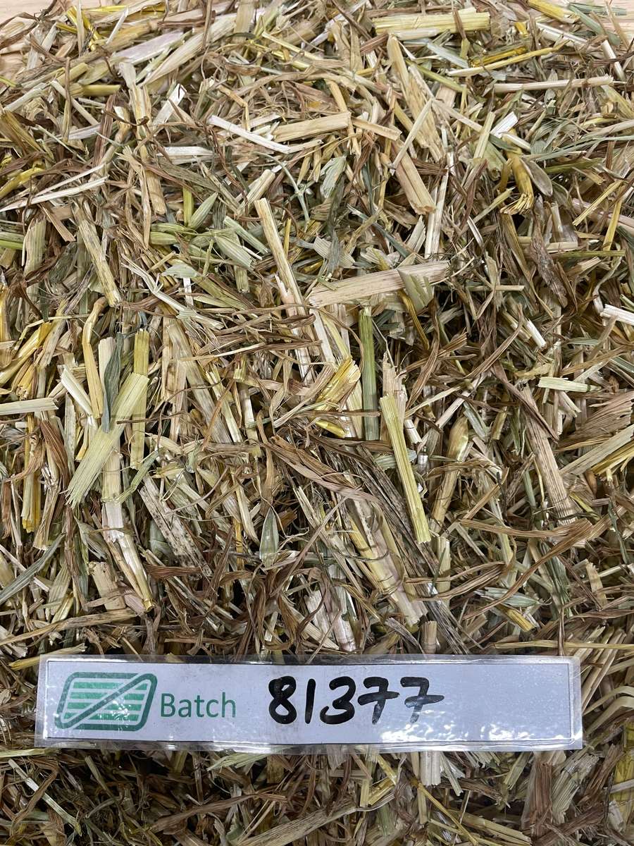 Batch 4990788000211142004 Image