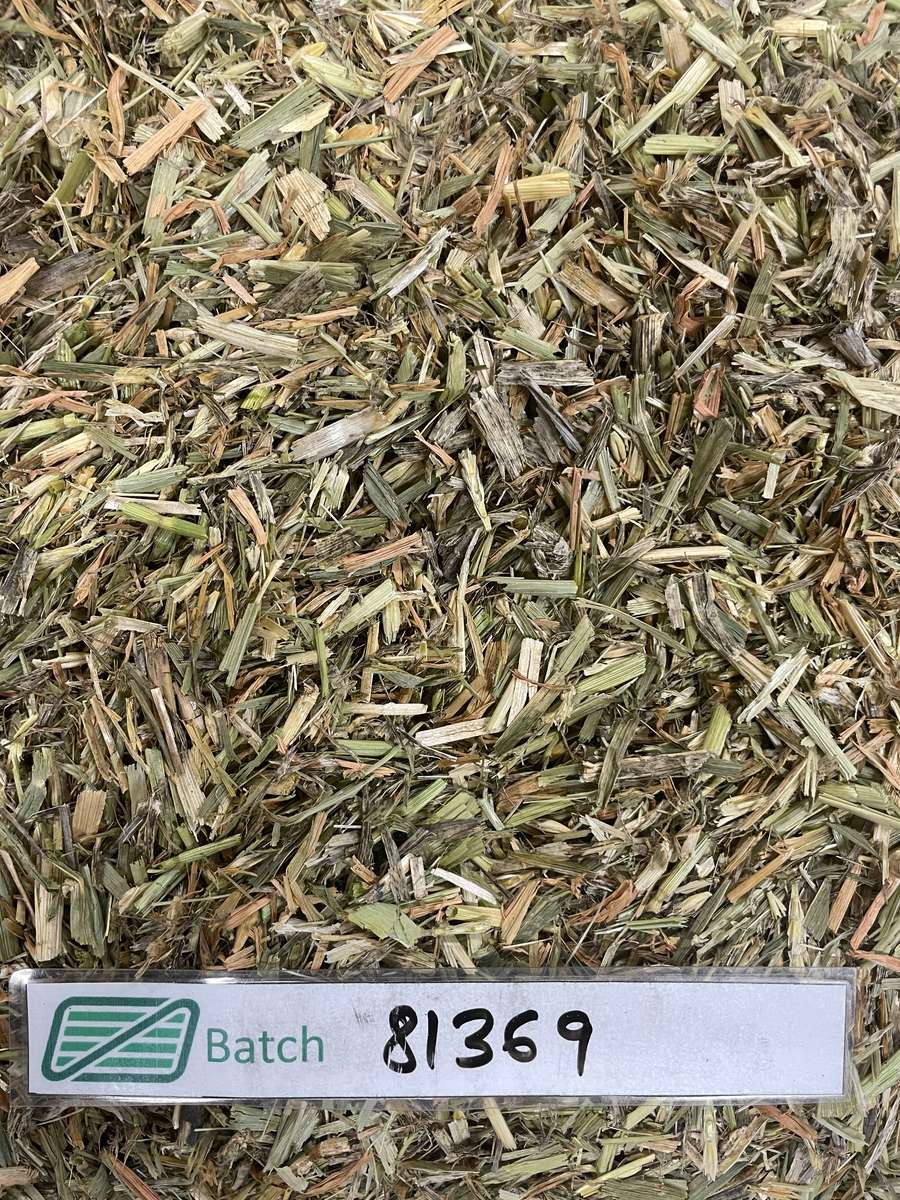 Batch 4990788000210952044 Image