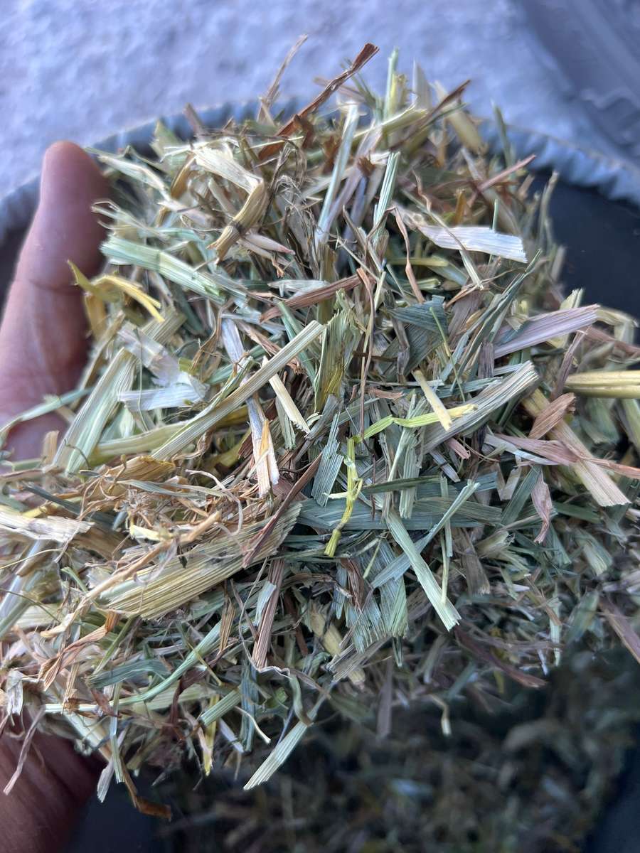 Batch 4990788000210937027 Image