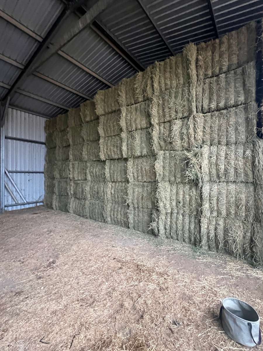 Batch 4990788000208458001 Image