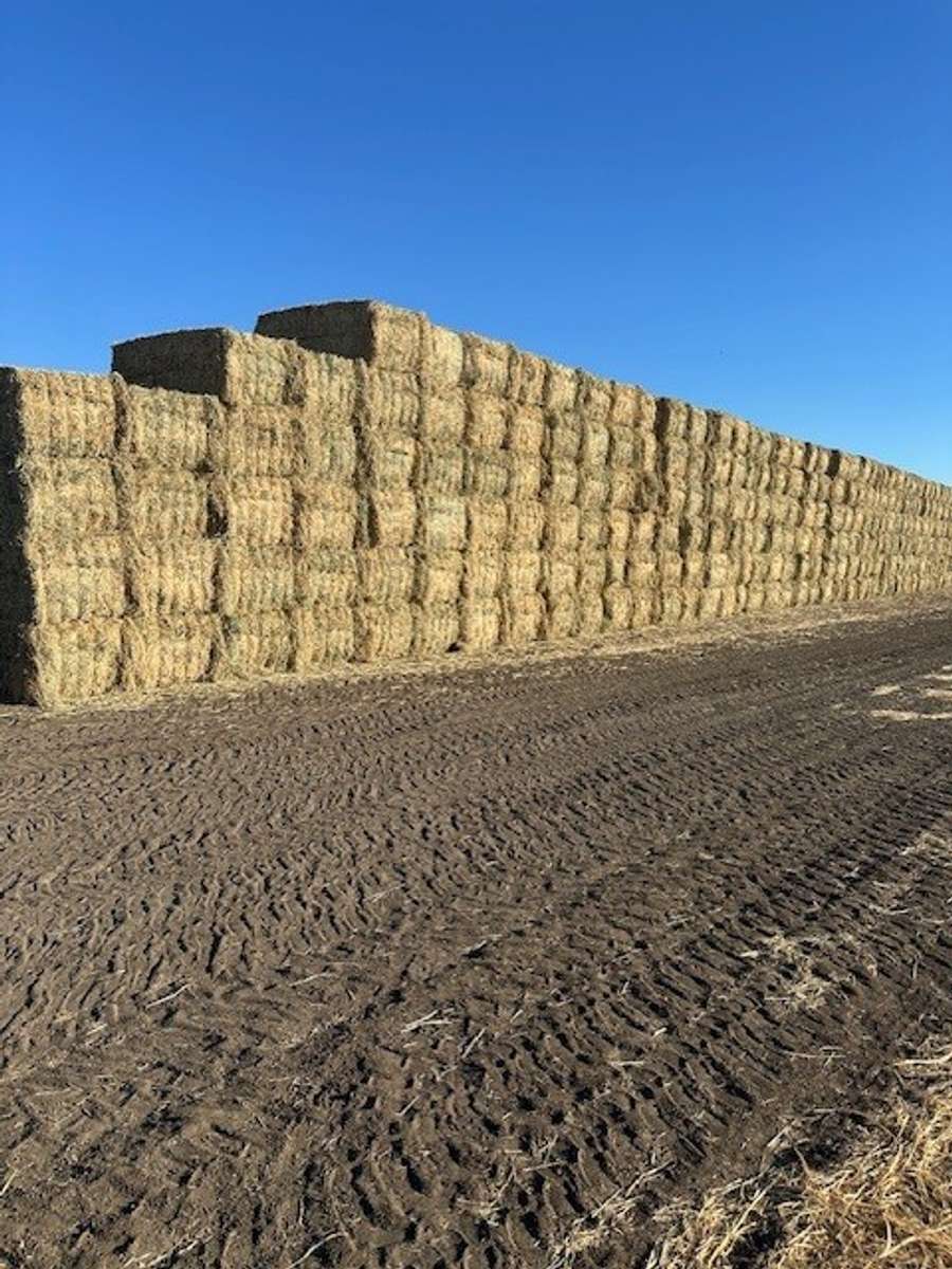 Batch 4990788000209782005 Image