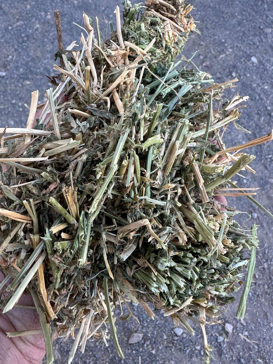 Batch 4990788000212716019 Image