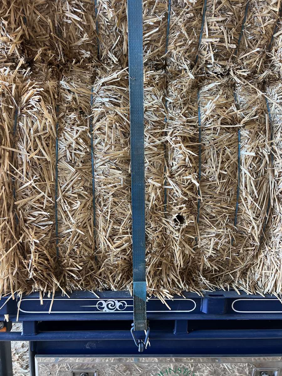 Batch 4990788000211533001 Image