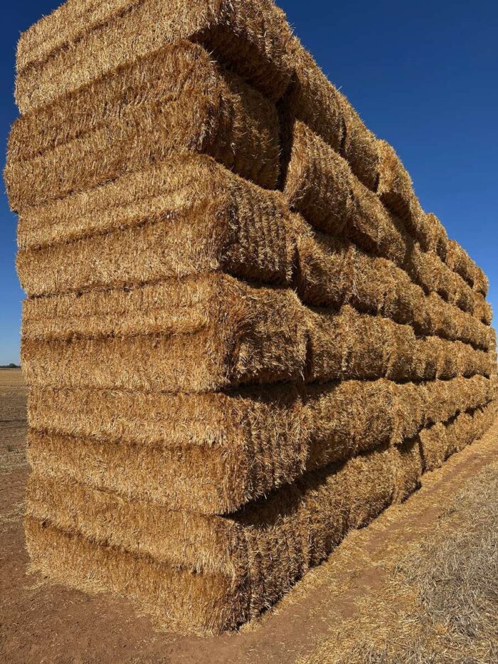 Batch 81447 Cereal Straw – Fodder Link Website