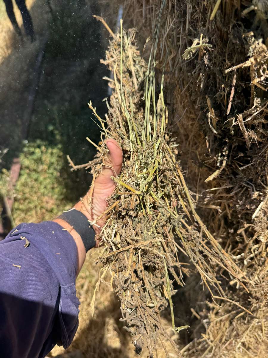 Batch 4990788000209390001 Image