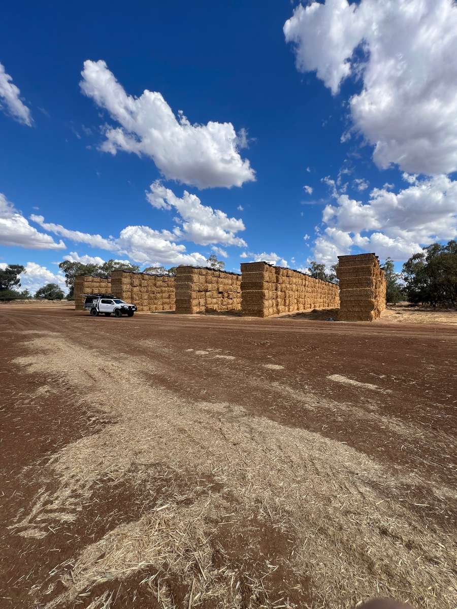 Batch 4990788000208891001 Image