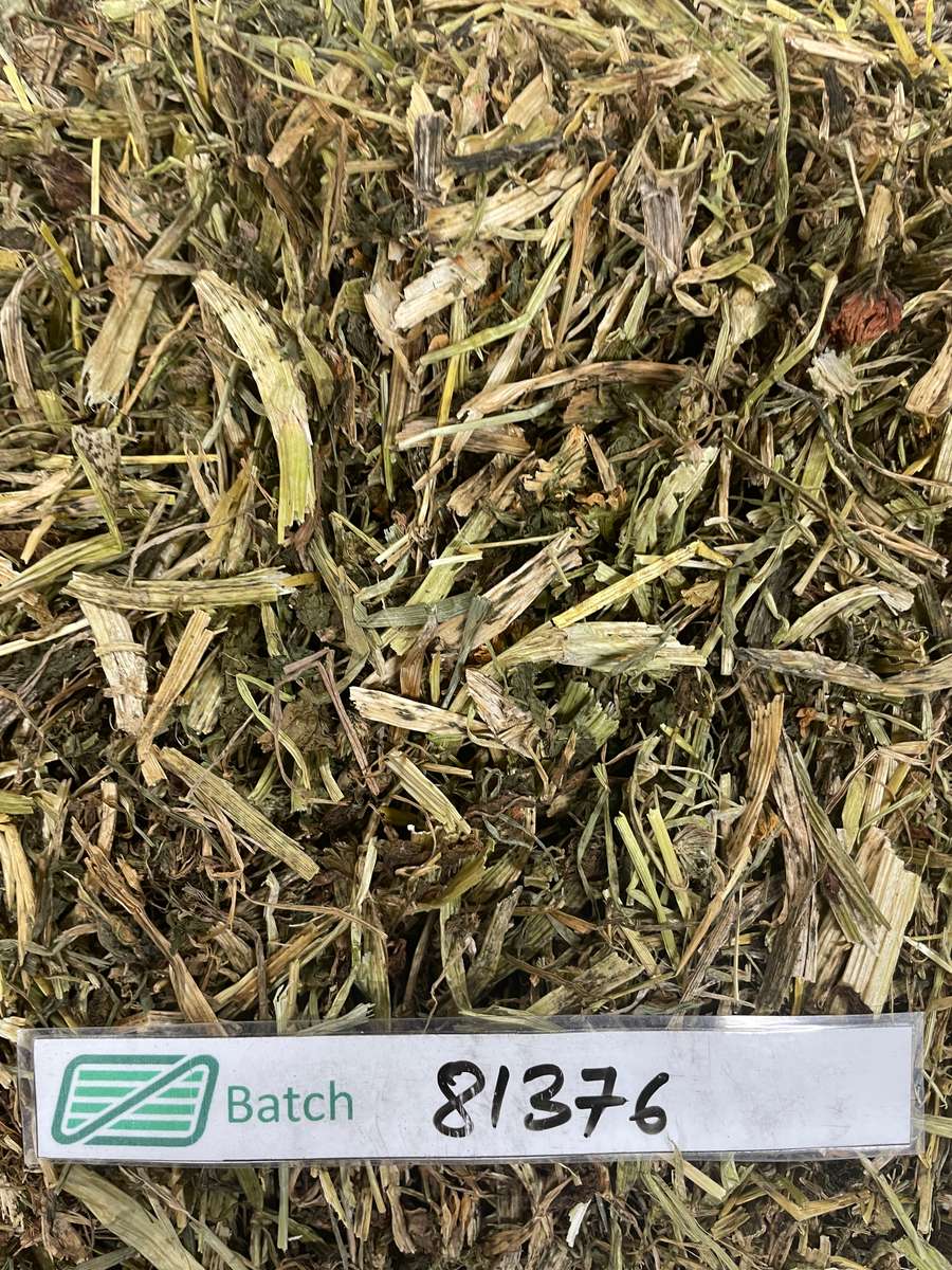 Batch 4990788000211161001 Image