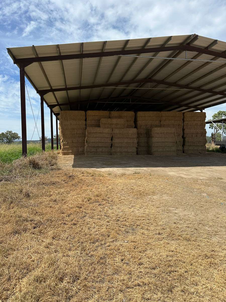 Batch 4990788000210623027 Image