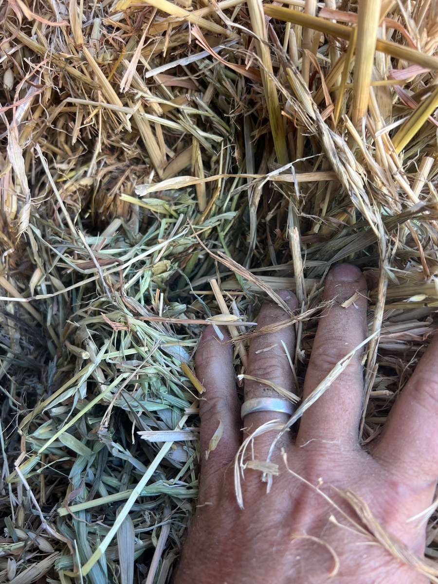 Batch 4990788000210937027 Image