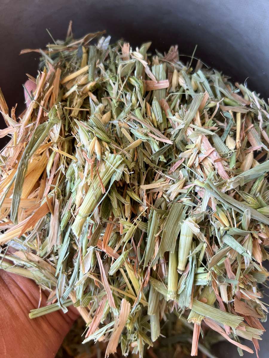 Batch 4990788000211537021 Image