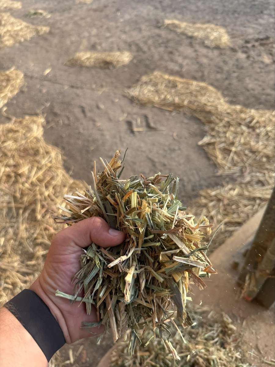 Batch 4990788000209847001 Image