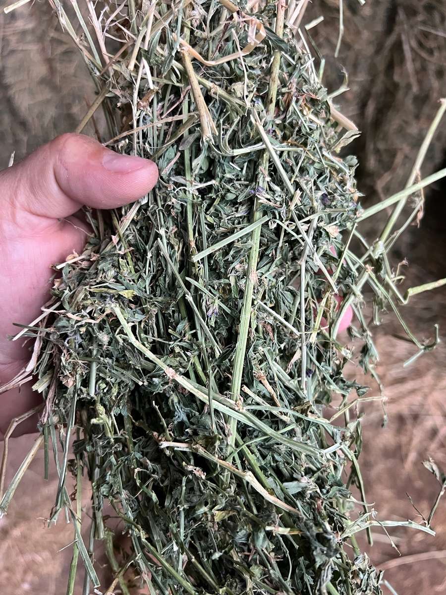 Batch 4990788000208458001 Image