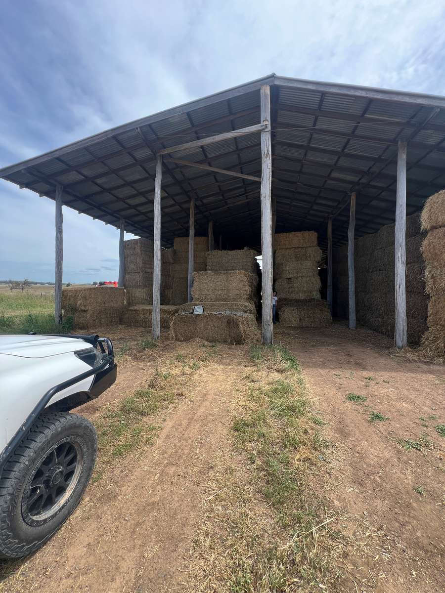 Batch 4990788000208631002 Image