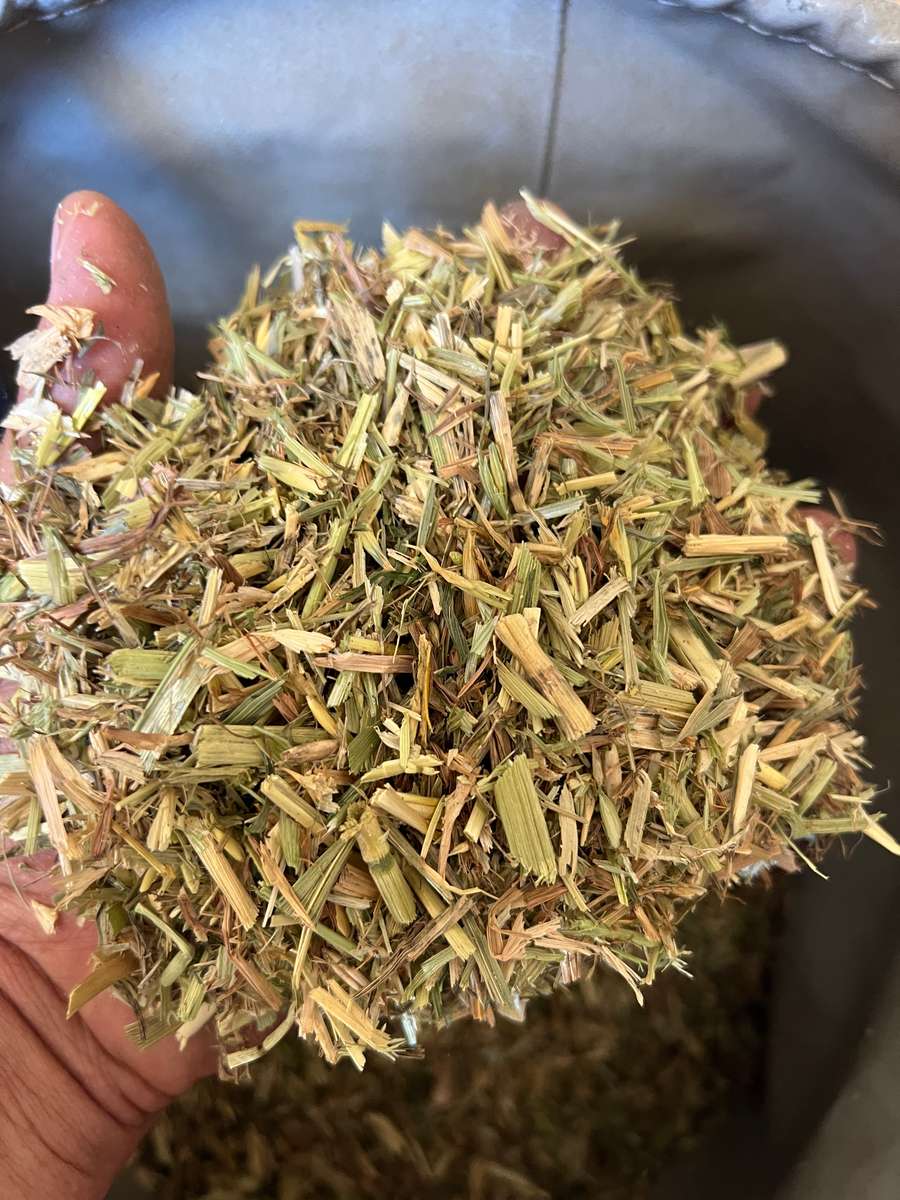 Batch 4990788000211870001 Image