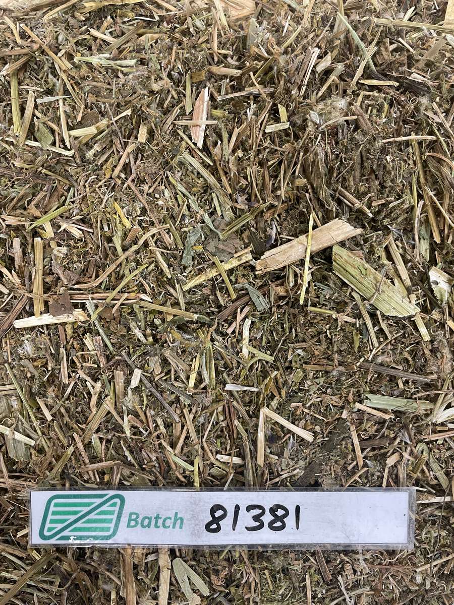 Batch 4990788000211141014 Image