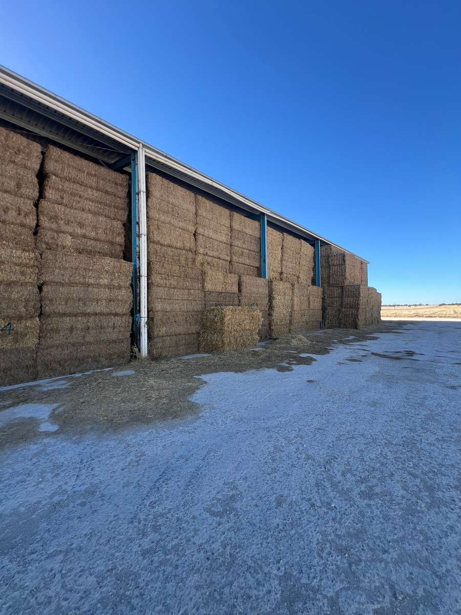 Batch 4990788000210999027 Image