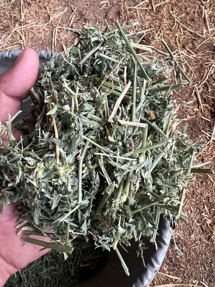 Batch 4990788000208458001 Image