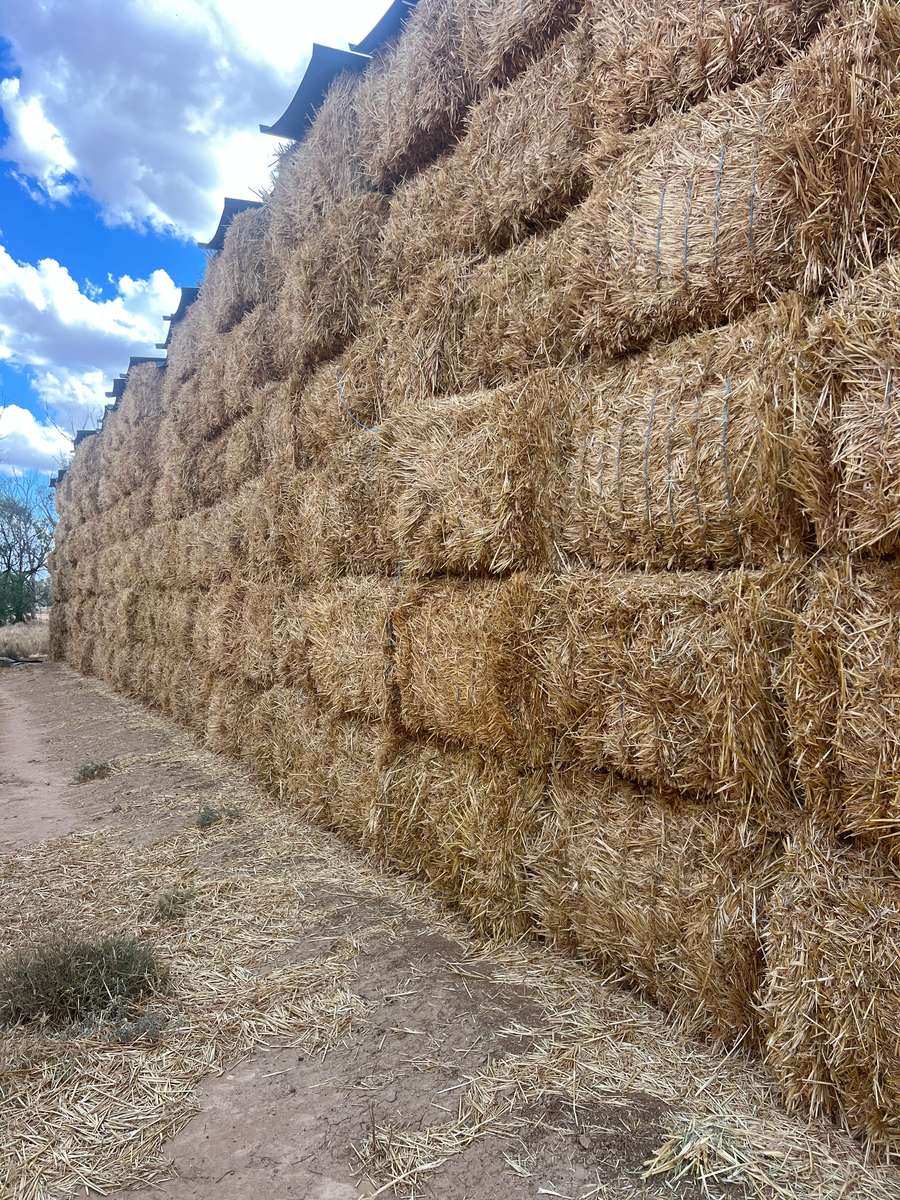 Batch 4990788000208891001 Image