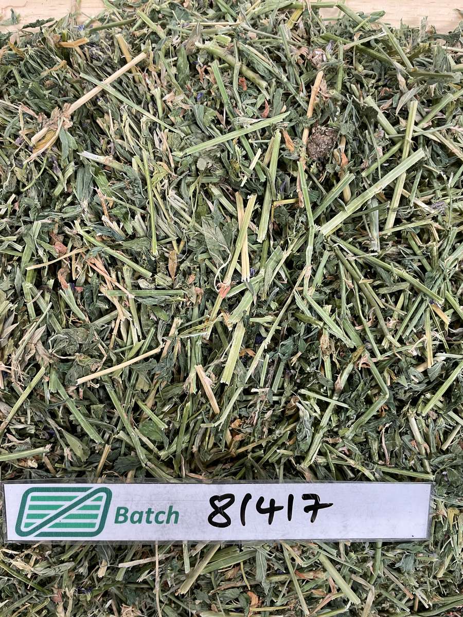 Batch 4990788000212288029 Image