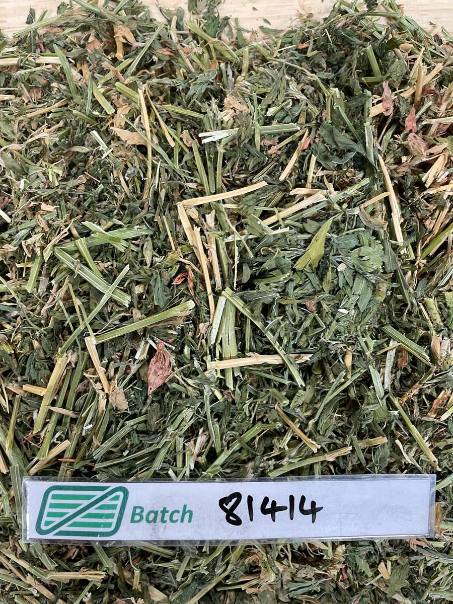 Batch 4990788000212302001 Image