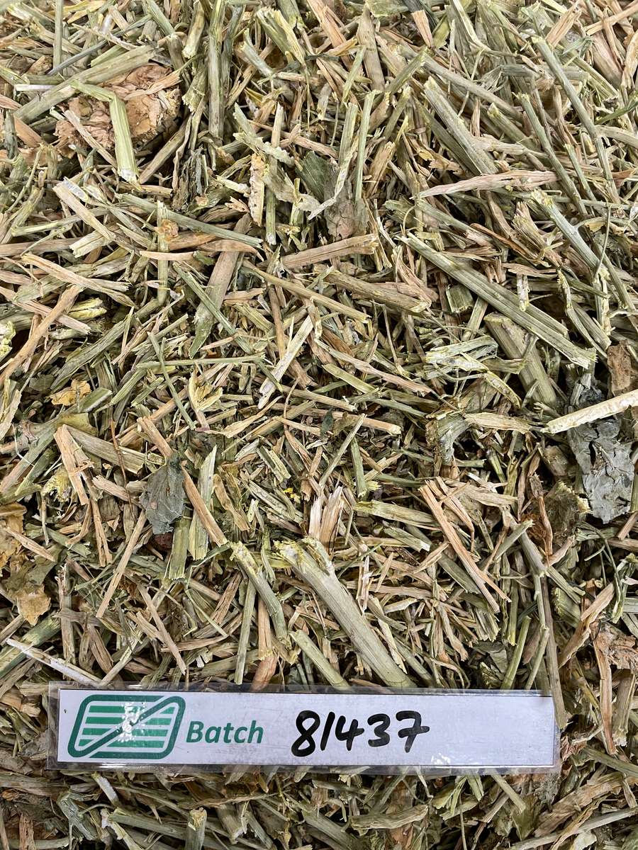 Batch 4990788000212713007 Image