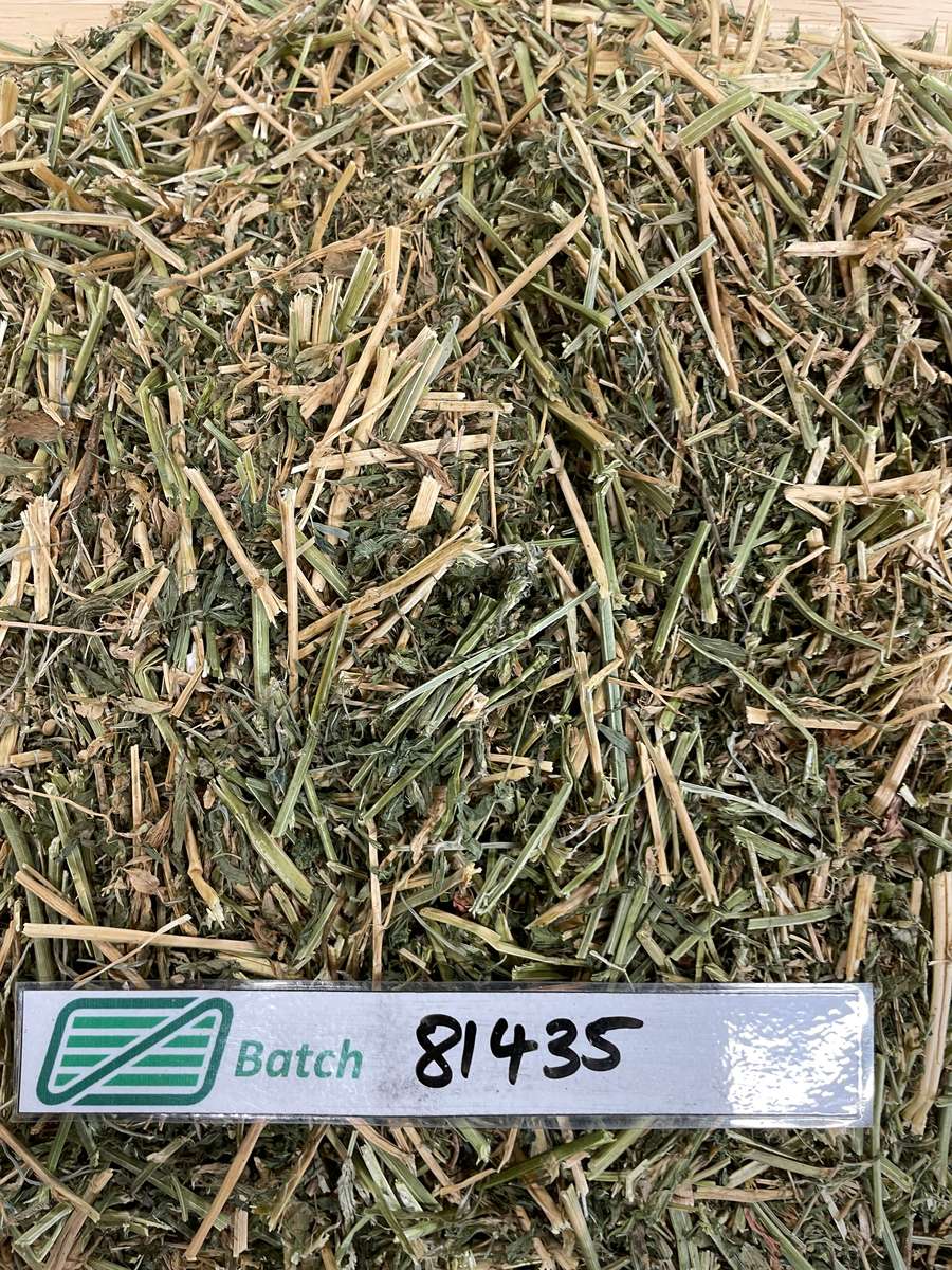 Batch 4990788000212716019 Image