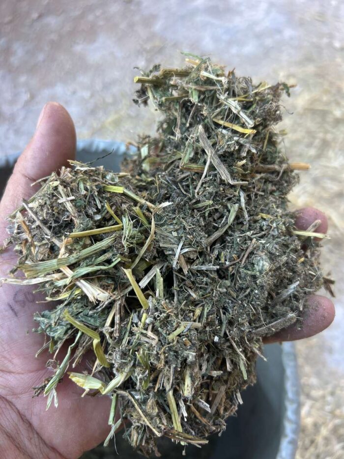 Batch 81361 Protein Hay – Fodder Link Website