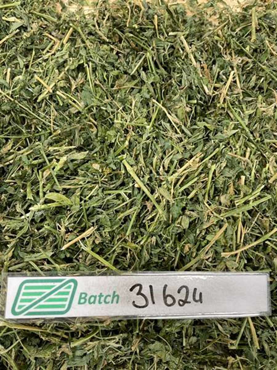 Batch 4990788000145093017 Image