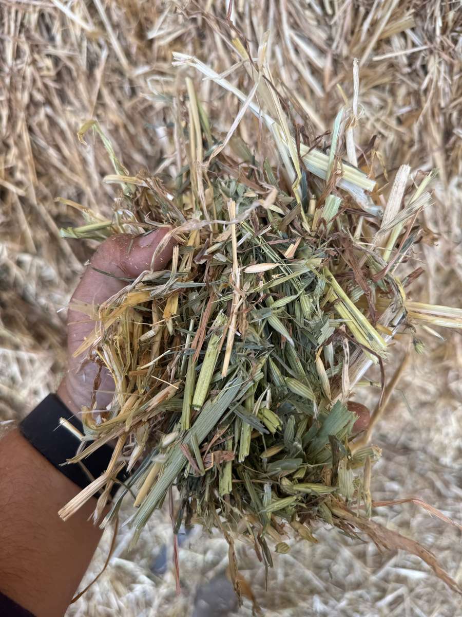 Batch 4990788000210137047 Image