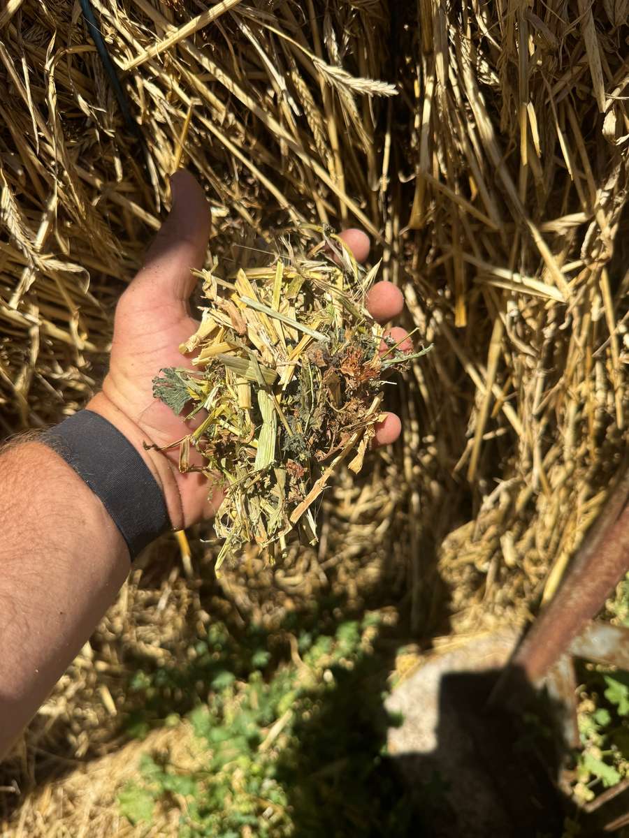 Batch 4990788000209399001 Image