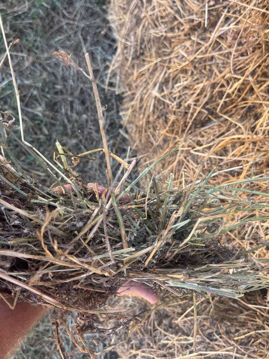 Batch 4990788000209333001 Image