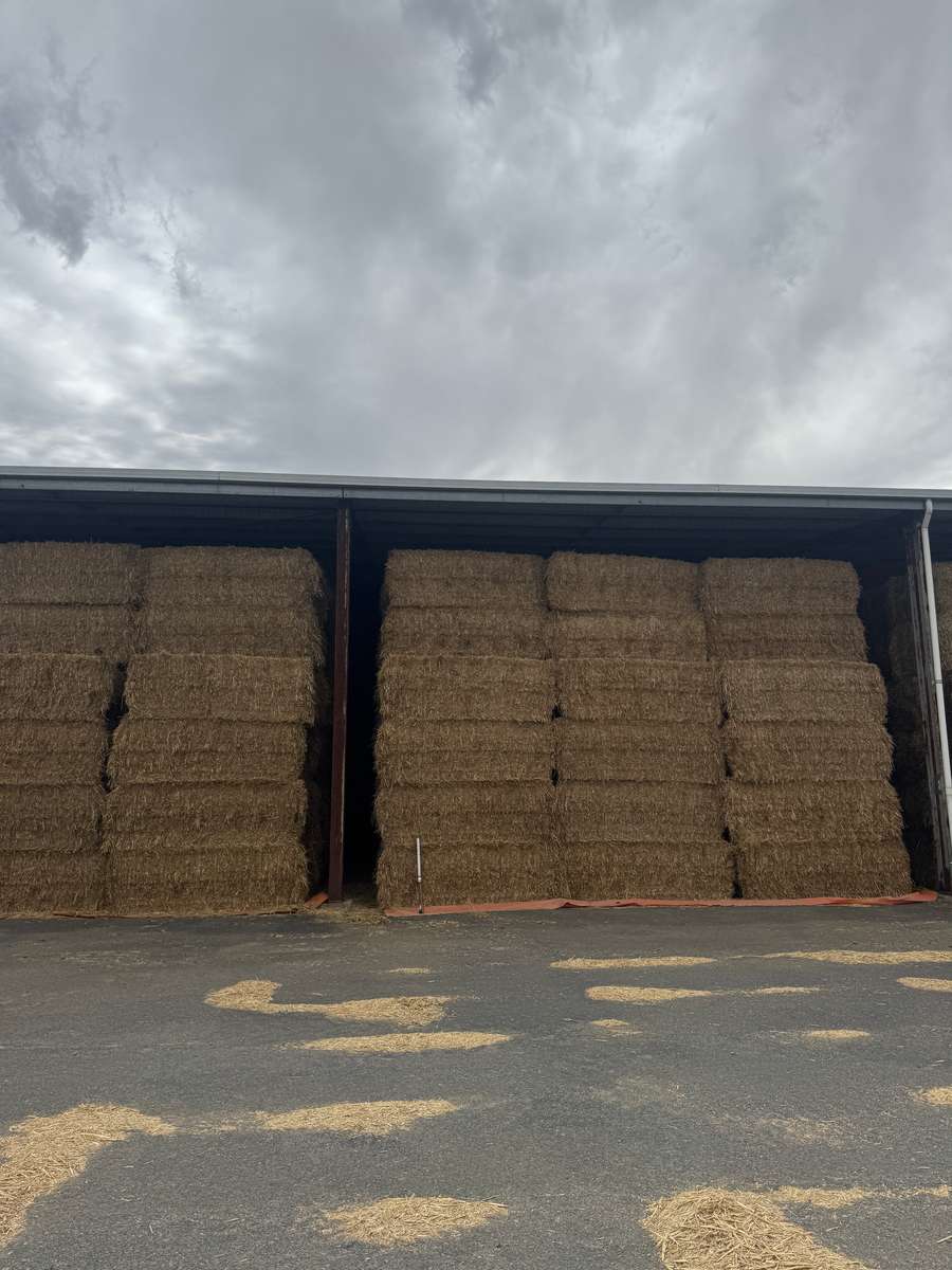 Batch 4990788000209734001 Image