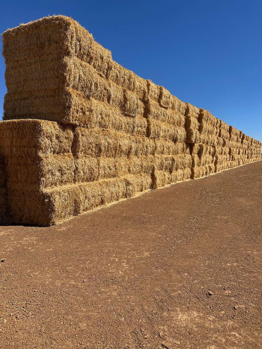 Batch 4990788000213035001 Image