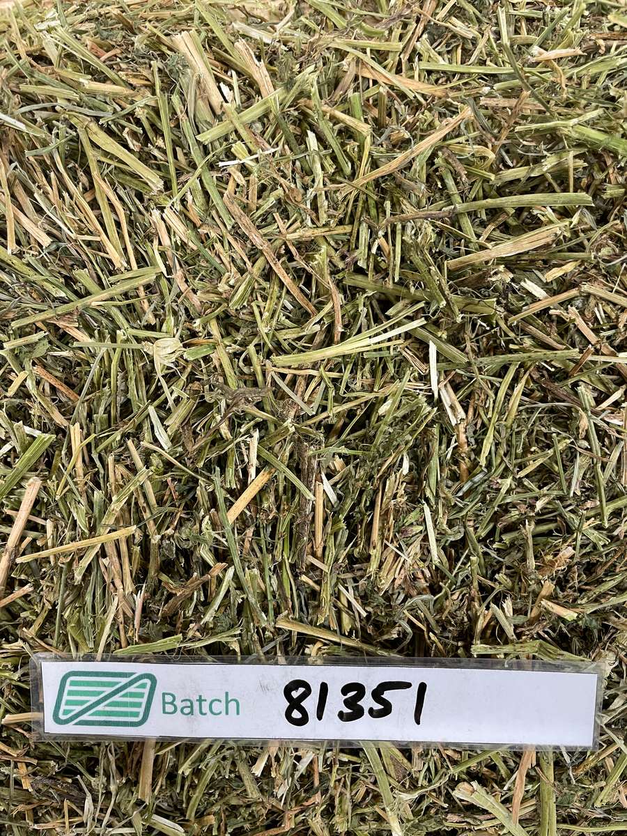 Batch 4990788000210623027 Image