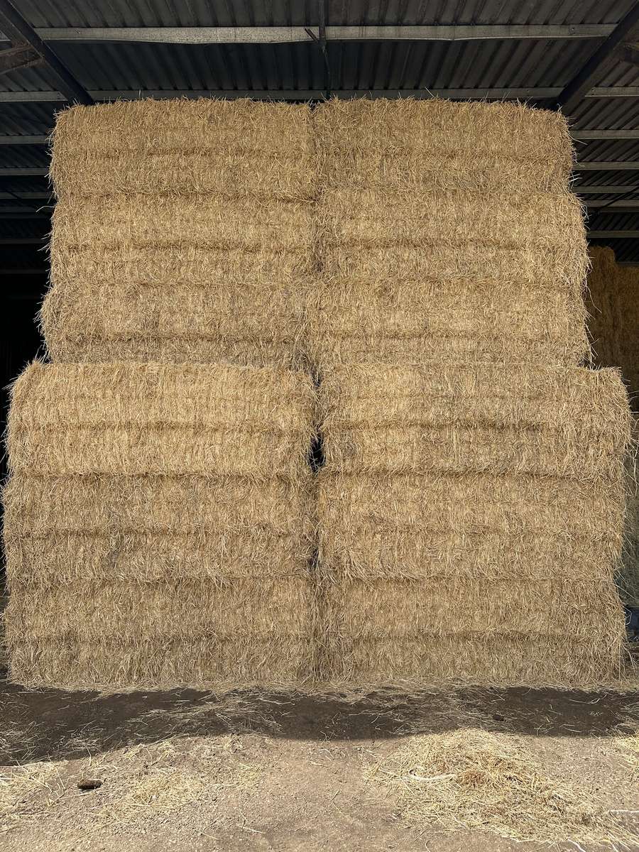 Batch 4990788000211787001 Image