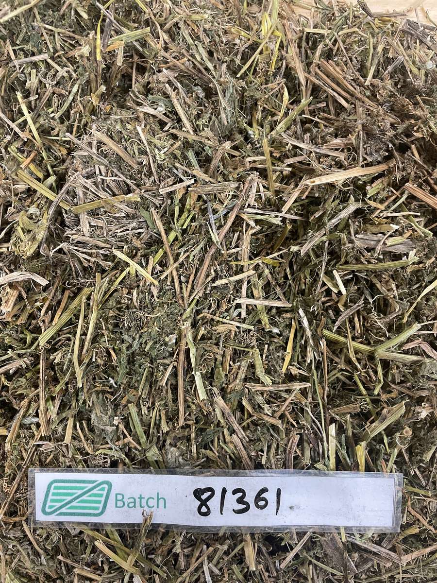 Batch 4990788000210999027 Image