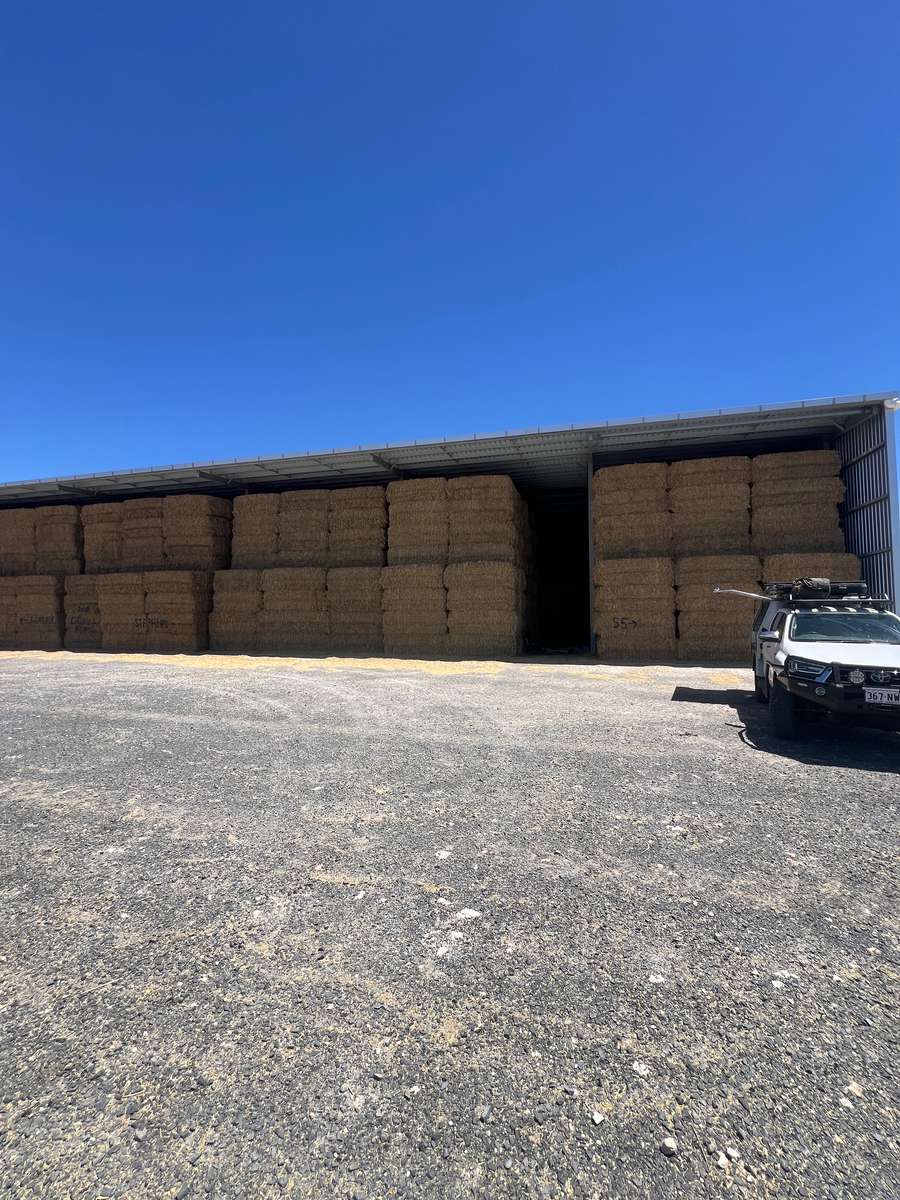 Batch 4990788000211870001 Image