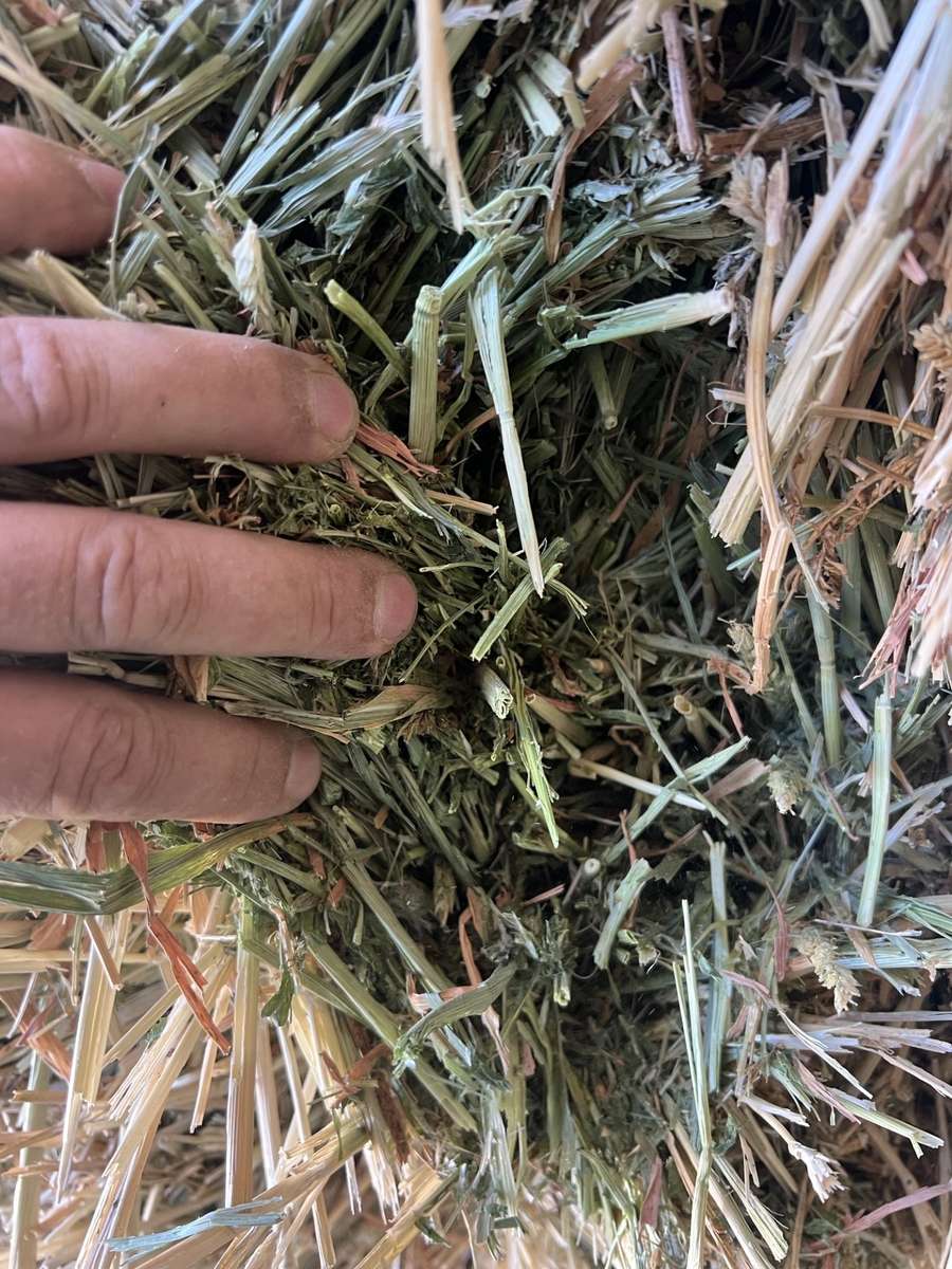 Batch 4990788000205197987 Image