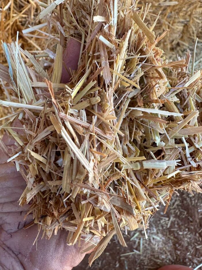 Batch 81447 Cereal Straw – Fodder Link Website