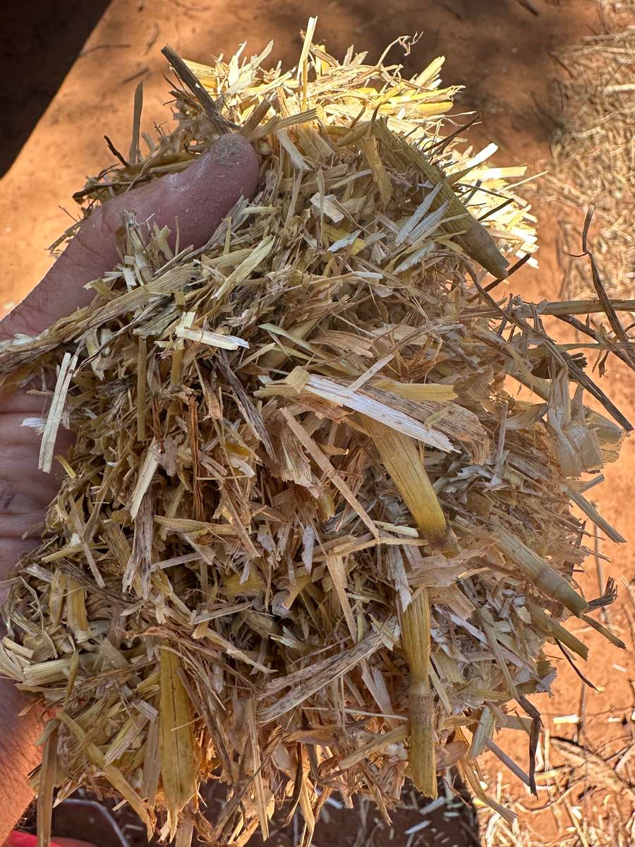 Batch 4990788000212717001 Image