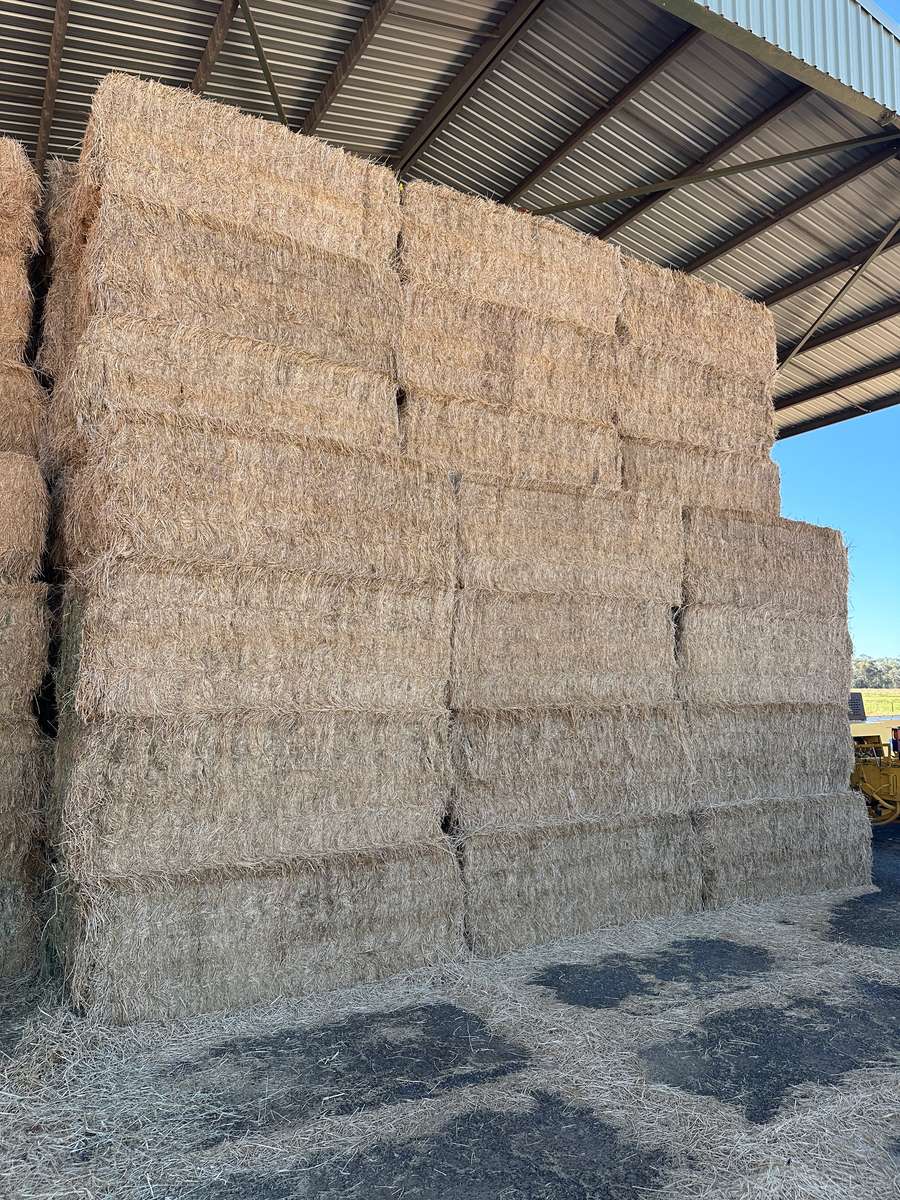 Batch 4990788000212716019 Image